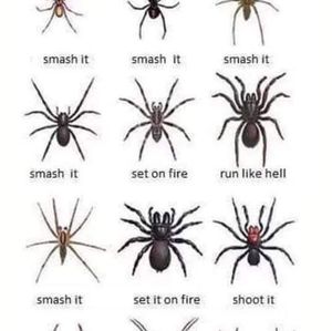 Meet your Posher, Kyle